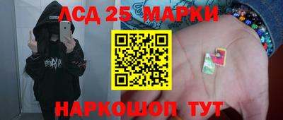гашик Аргун