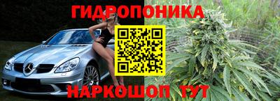 гашик Аргун